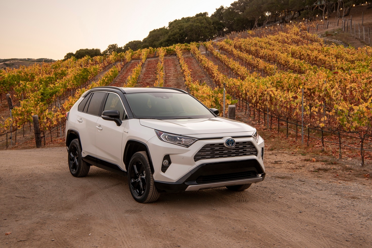 Blog occasion beaucage vus toyota usage rav4